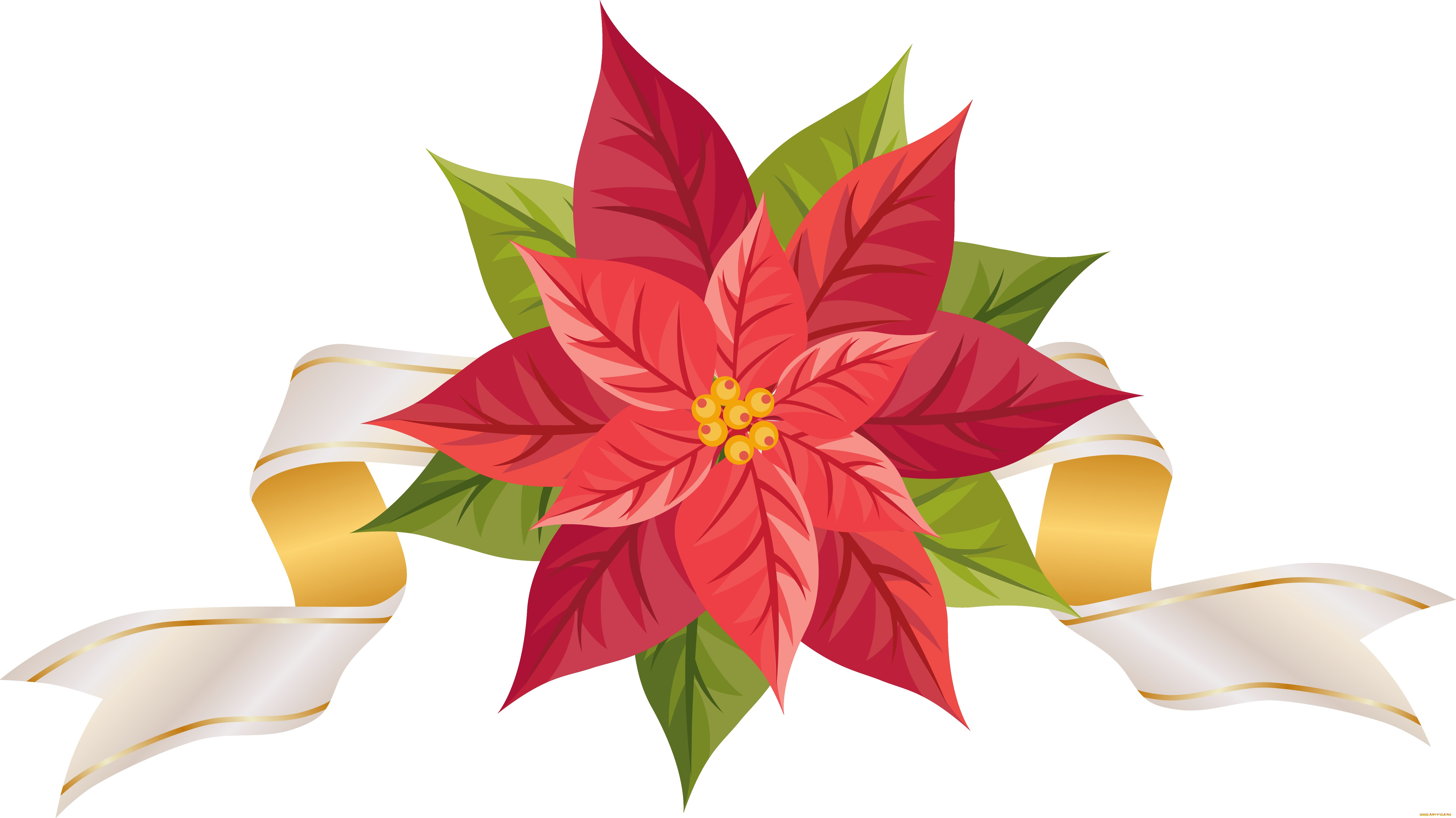  ,  , flowers, , , 